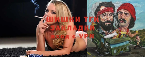 spice Аркадак