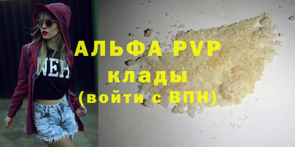 spice Аркадак