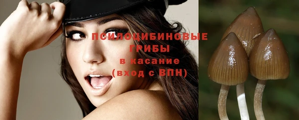 прущие крисы Армянск