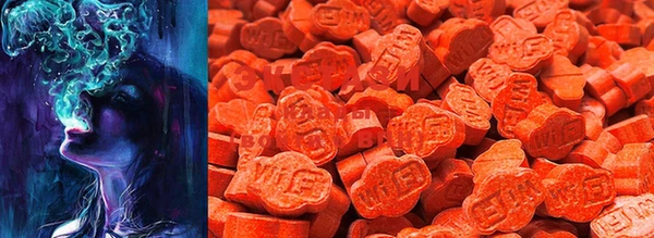 spice Аркадак