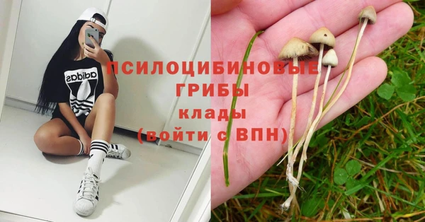 MDMA Premium VHQ Арсеньев