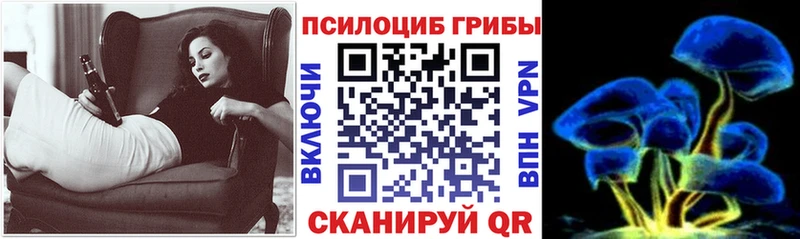 где купить наркоту  Калач-на-Дону  kraken tor  Псилоцибиновые грибы Magic Shrooms 
