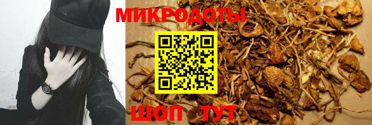Псилоцибиновые грибы MAGIC MUSHROOMS Калач-на-Дону